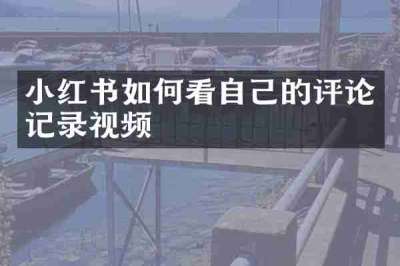 小红书如何看自己的评论记录视频