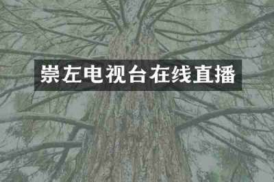 崇左电视台在线直播