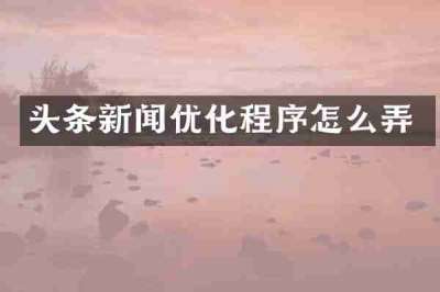 头条新闻优化程序怎么弄