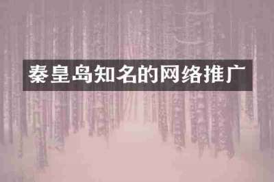 秦皇岛知名的网络推广