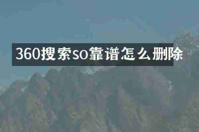 360搜索so靠谱怎么删除