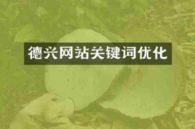 德兴网站关键词优化