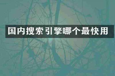 国内搜索引擎哪个最快用