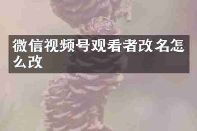 微信视频号观看者改名怎么改