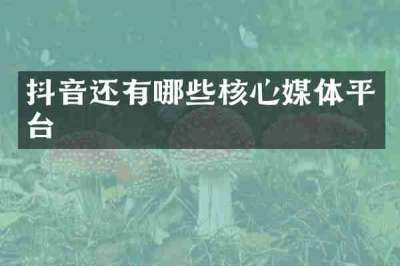 抖音还有哪些核心媒体平台
