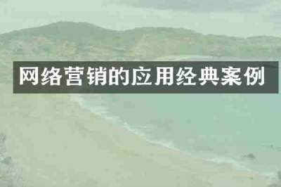 网络营销的应用经典案例