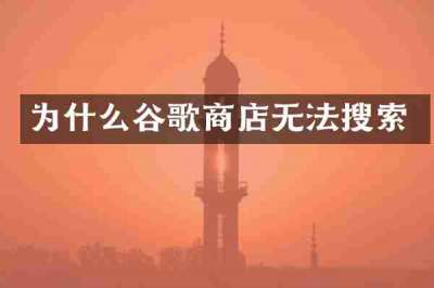 为什么谷歌商店无法搜索