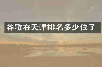 谷歌在天津排名多少位了