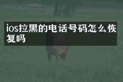 ios拉黑的电话号码怎么恢复吗