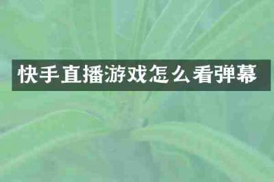 快手直播游戏怎么看弹幕