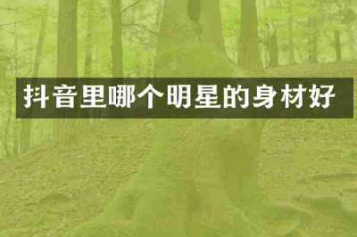 抖音里哪个明星的身材好