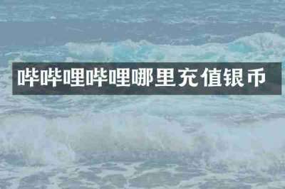 哔哔哩哔哩哪里充值银币