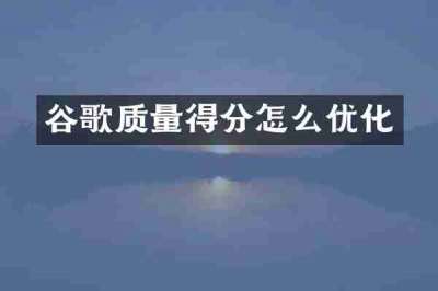 谷歌质量得分怎么优化