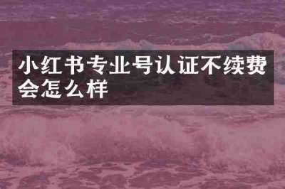 小红书专业号认证不续费会怎么样