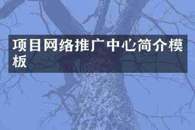 项目网络推广中心简介模板