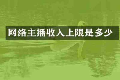 网络主播收入上限是多少