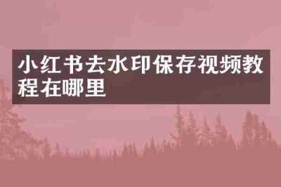 小红书去水印保存视频教程在哪里