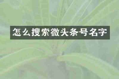 怎么搜索微头条号名字