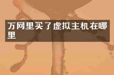 万网里买了虚拟主机在哪里