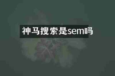 神马搜索是sem吗