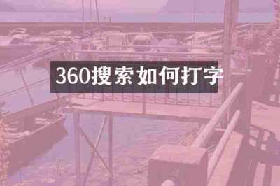 360搜索如何打字
