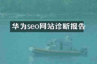 华为seo网站诊断报告