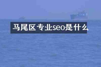 马尾区专业seo是什么