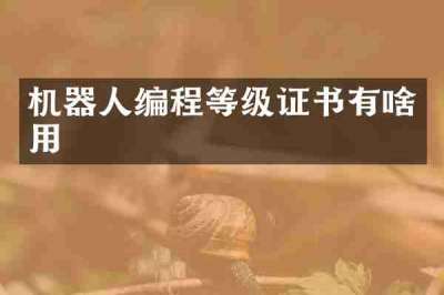 机器人编程等级证书有啥用