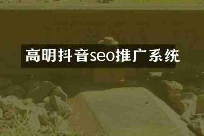 高明抖音seo推广系统