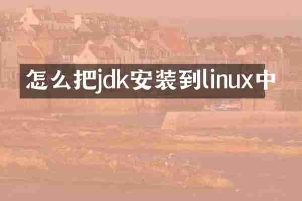 怎么把jdk安装到linux中