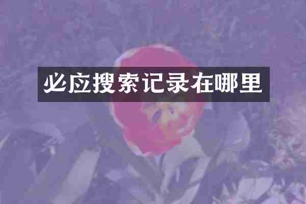 必应搜索记录在哪里