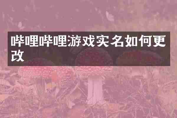 哔哩哔哩游戏实名如何更改