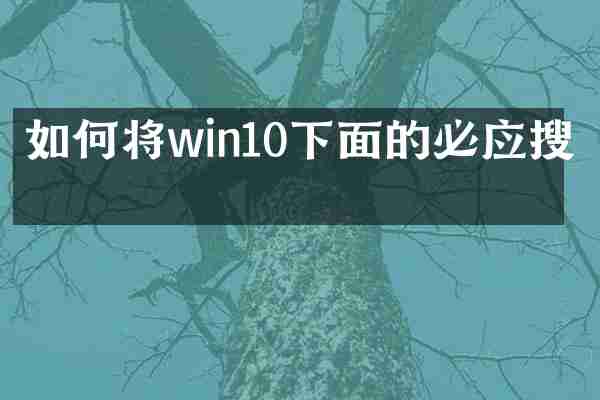 如何将win10下面的必应搜索