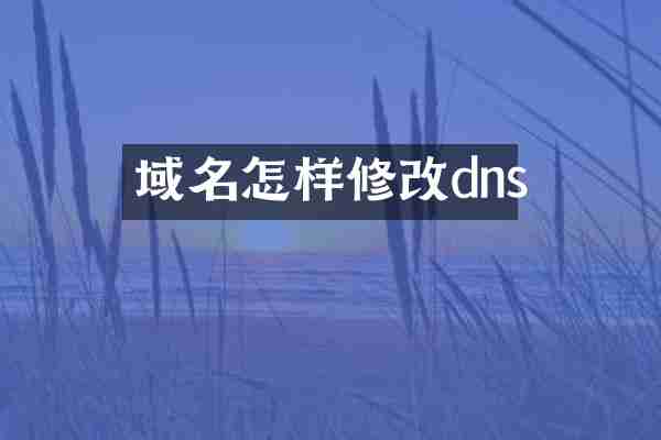 域名怎样修改dns