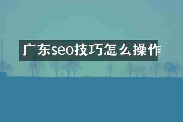 广东seo技巧怎么操作