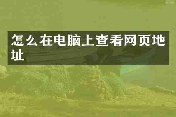 怎么在电脑上查看网页地址