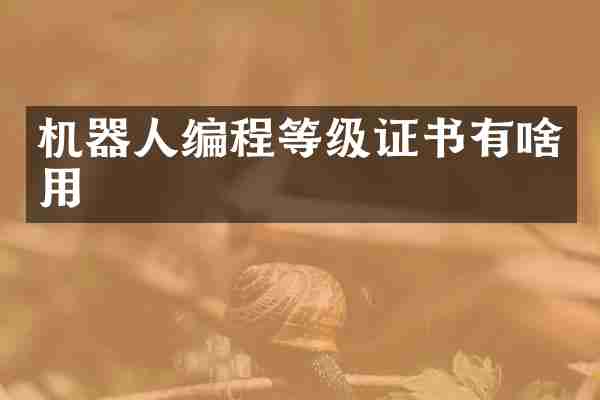 机器人编程等级证书有啥用