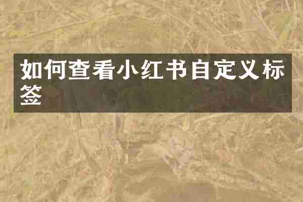 如何查看小红书自定义标签