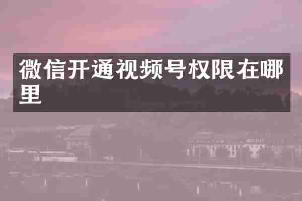 微信开通视频号权限在哪里