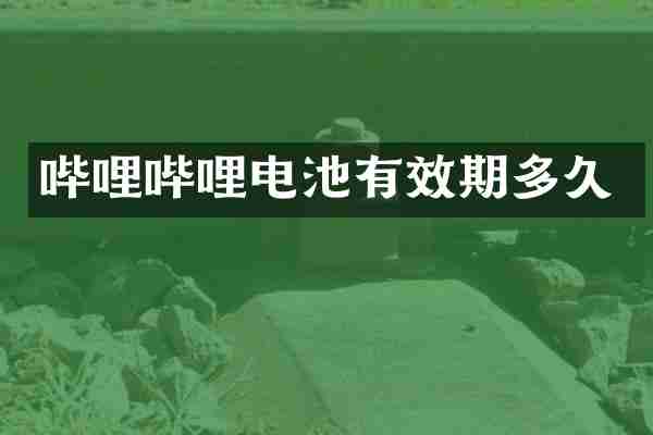 哔哩哔哩电池有效期多久