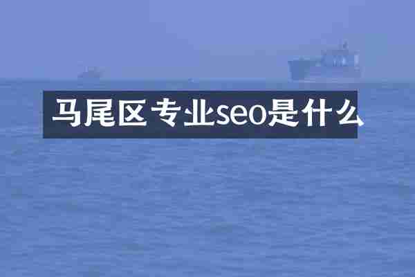 马尾区专业seo是什么