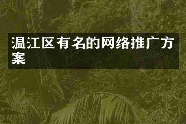 温江区有名的网络推广方案