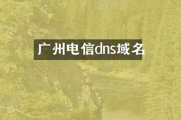 广州电信dns域名