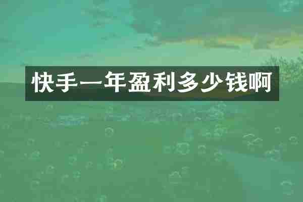 快手一年盈利多少钱啊