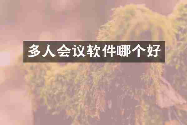 多人会议软件哪个好