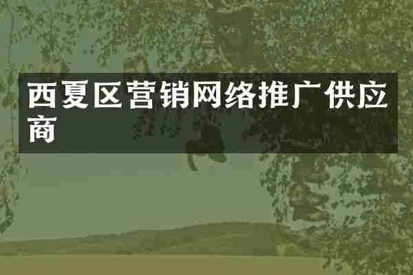 西夏区营销网络推广供应商
