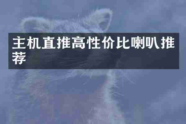 主机直推高性价比喇叭推荐