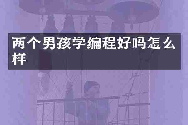 两个男孩学编程好吗怎么样