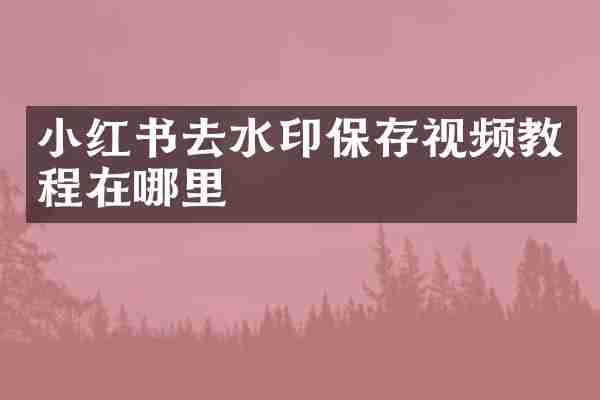 小红书去水印保存视频教程在哪里