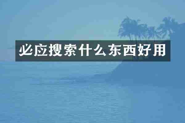 必应搜索什么东西好用
